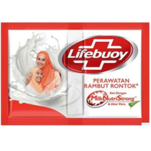 LIFEBUOY SHP 10M HR FALL /12